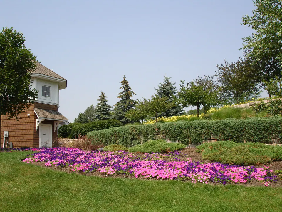 Sweep of pink and purple annuals below a clipped hedge and shrub bank, with the shingled entry building at the left